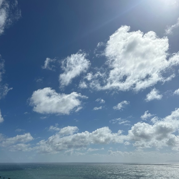 Meet your Posher, Lily - Picture 2 of 3